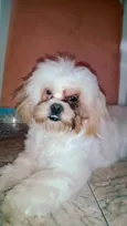 Rabito 