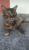 JULLY