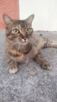 JULLY
