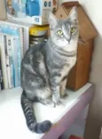 Adelly