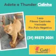 Cidinha