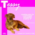 Tessy
