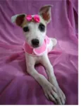 Nina Neném e Nala
