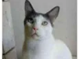 JOHN