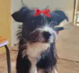 Teka 