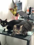 Juka e Théo
