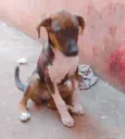 Nik