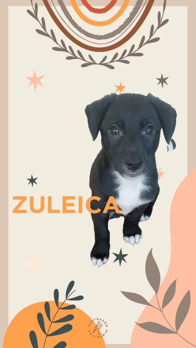 Cachorro ra a SRD idade Abaixo de 2 meses nome FILHOTES