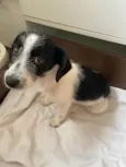 Zé 