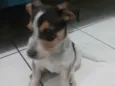 Bolinha