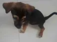 Duke