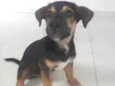 Duke