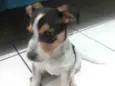 Bolinha
