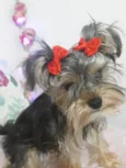 Mimi