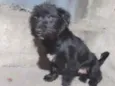 Tomas