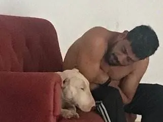 Cachorro ra a Bull terrier  idade 6 ou mais anos nome Fletcher e Margot