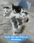 Quarteto fantástico