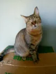 NALA