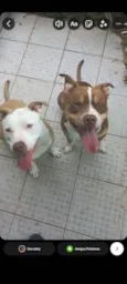 Ares