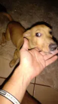 Tob