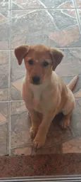 Lua