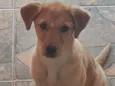 Lua