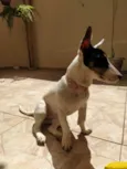 Amora