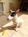 Amora