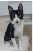 BETHÂNIA