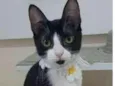 BETHÂNIA