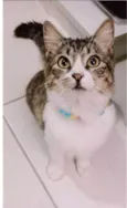 BENEDITA