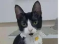 BETHÂNIA
