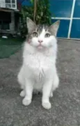 FIONA
