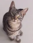 Tutti