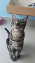 Tutti