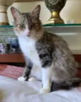 Minnie