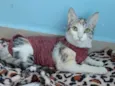 Penelope