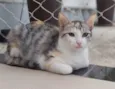 Penelope