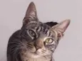 Tutti