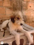 Safira