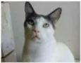JOHN