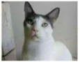 JOHN