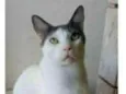 JOHN
