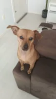 Antônia