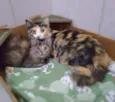 Maria Rita e Lizzy