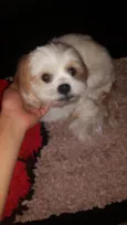 Eddie