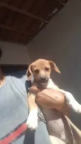 Dalila