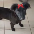 Rubi 