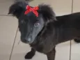 Rubi 