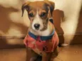 Lulu